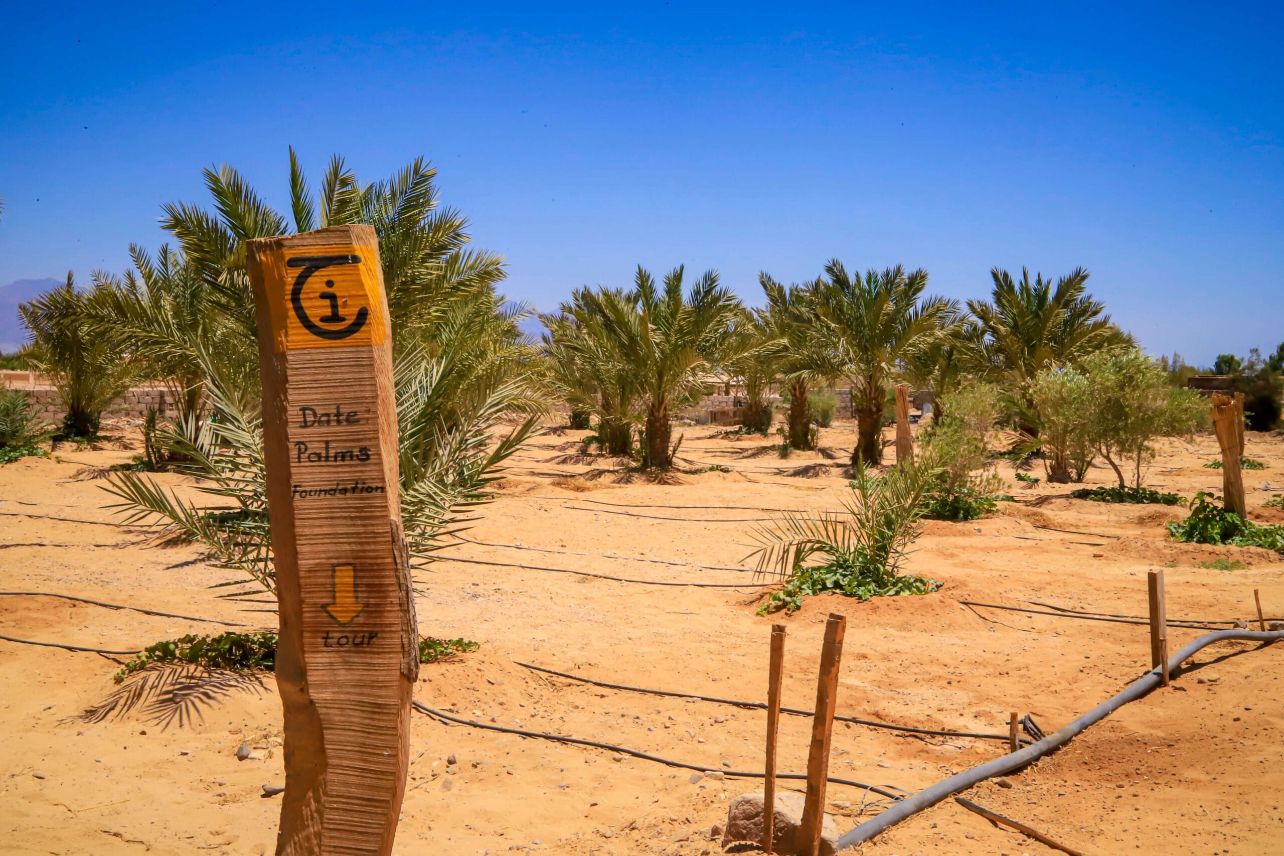 Supporting women, youth, and community projects that nurture sustainable livelihoods in South Sinai.