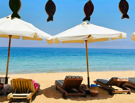 Stay by the Red Sea in our eco-lodge built for peace, authenticity, and connection with nature.