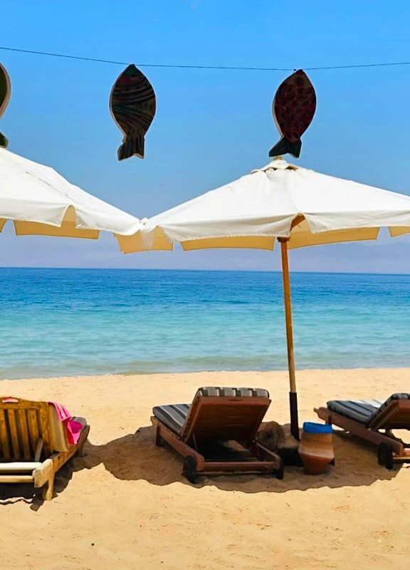 Stay by the Red Sea in our eco-lodge built for peace, authenticity, and connection with nature.