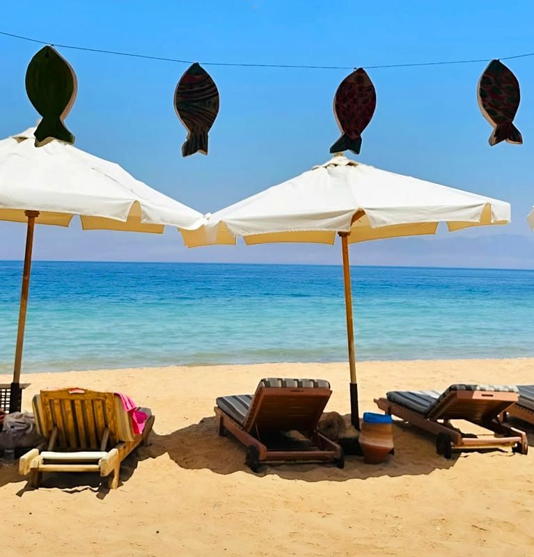Stay by the Red Sea in our eco-lodge built for peace, authenticity, and connection with nature.