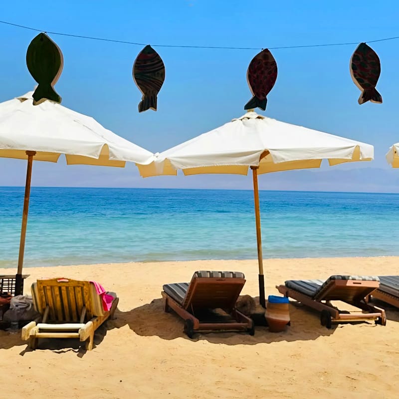 Stay by the Red Sea in our eco-lodge built for peace, authenticity, and connection with nature.