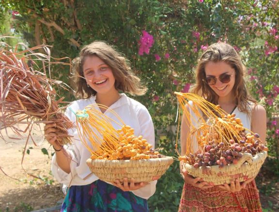 Volunteering at Habiba offers a meaningful way to learn, support and reconnect with purposeful work in South Sinai.