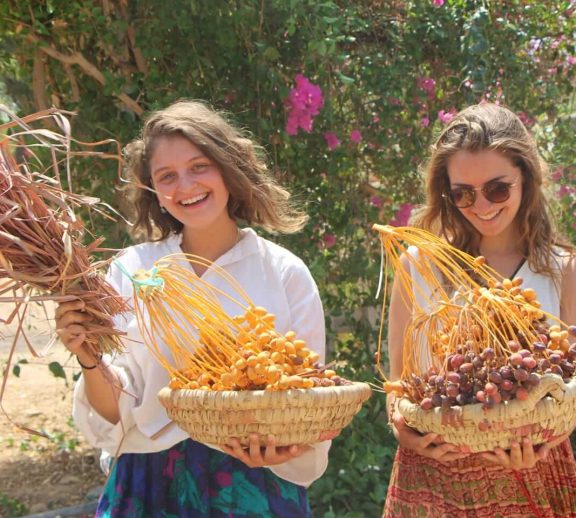Volunteering at Habiba offers a meaningful way to learn, support and reconnect with purposeful work in South Sinai.