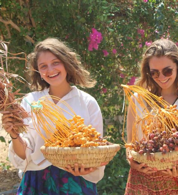 Volunteering at Habiba offers a meaningful way to learn, support and reconnect with purposeful work in South Sinai.