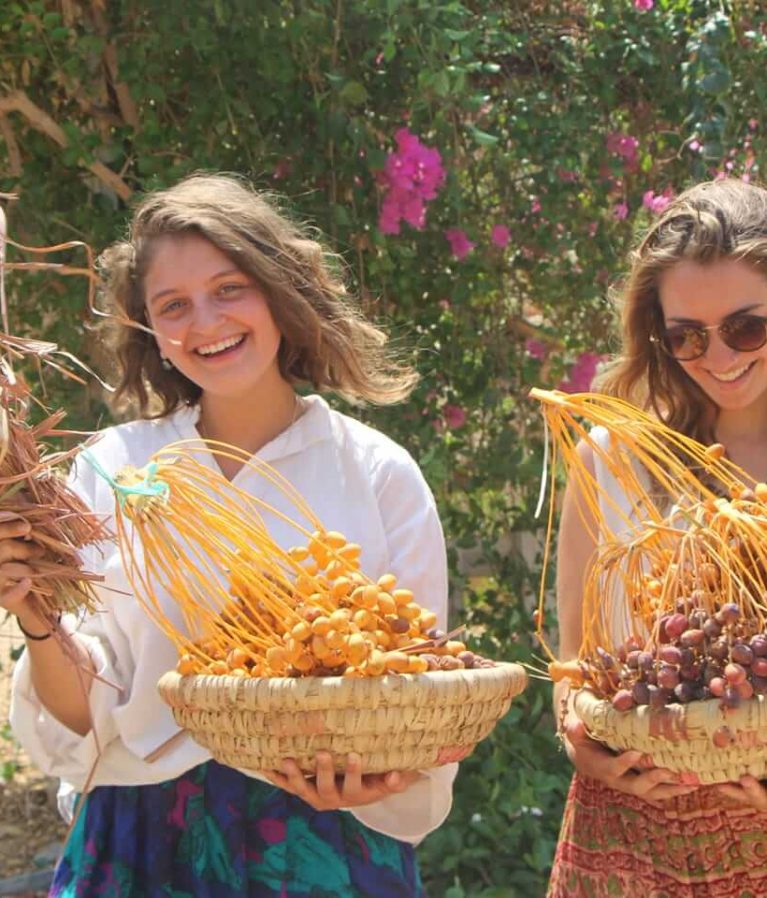 Volunteering at Habiba offers a meaningful way to learn, support and reconnect with purposeful work in South Sinai.