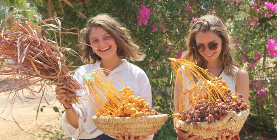 Volunteering at Habiba offers a meaningful way to learn, support and reconnect with purposeful work in South Sinai.
