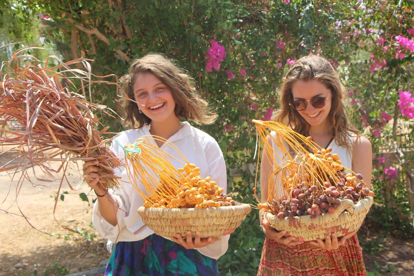 Volunteering at Habiba offers a meaningful way to learn, support and reconnect with purposeful work in South Sinai.